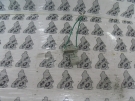 Kymco Like 50 ccm bontott ellenlls
